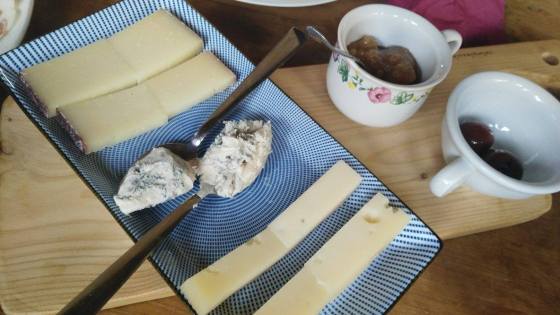 18379556_10209732547774766_410533778_o